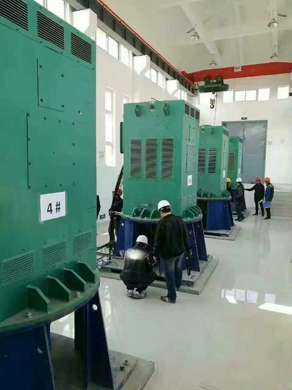 YJTFKK5005-2某污水处理厂使用我厂的立式高压电机安装现场