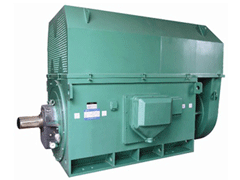 YJTFKK5005-2YKK系列高压电机